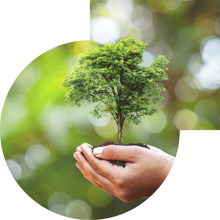 关怀人类、文化、环境与社会